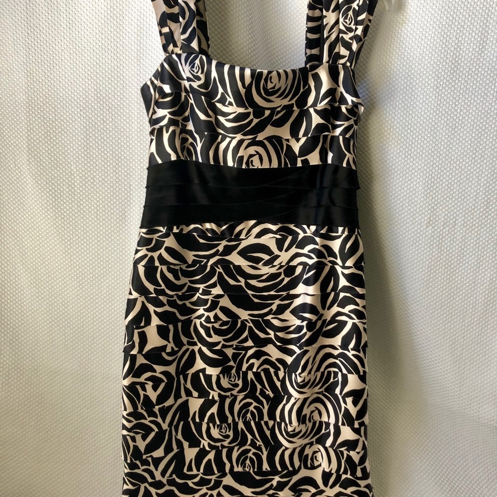 NWT-Jones New York Powder Blush/Blk Dress, 10